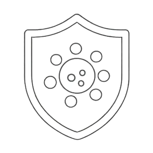 Mold Prevention and Cleanup